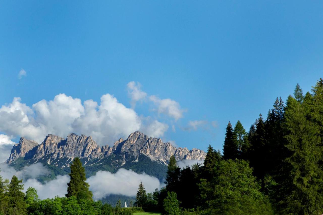 Chalet Del Capriolo Vodo Cadore Dış mekan fotoğraf